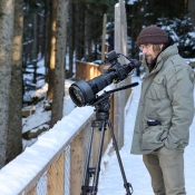 DAN BÁRTA ČEKÁ NA VLKY V SRNÍ NP ŠUMAVA - PŘÍBĚH VLČÍ SMEČKY